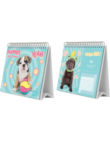 CALENDARIO SOBREM.2025-DOGS