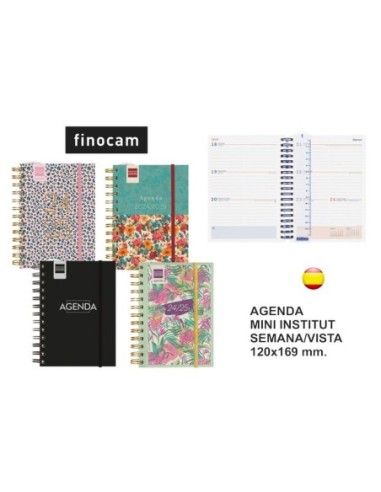 AGDA.ESC.FCAM.MINI INST.8ºS/V CAST.24/25