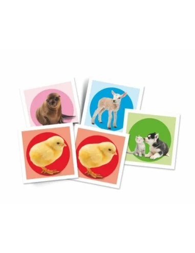 CLEMENT.-MEMO POCKET BABY ANIMALS 18315