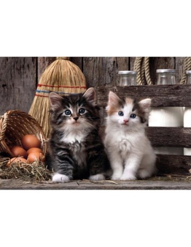 CLEMENT.-PZLE 1000PZ.LOVE KITTENS 39943