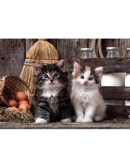 CLEMENT.-PZLE 1000PZ.LOVE KITTENS 39943