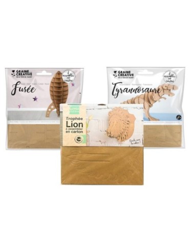 C.TOP-SET 3 MAQUET.CONSTR.CARTON 30x30