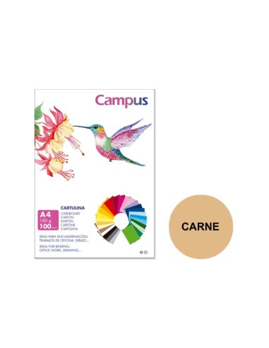 CARTULINA A4 CAMPUS 180G.CARNE P/100