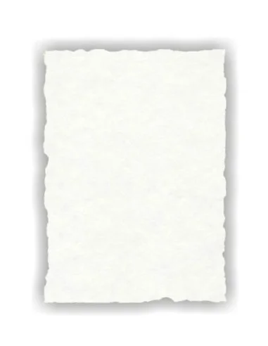 DIPLOMA PERGAMINERO BLANCO 21x29,7 R2609