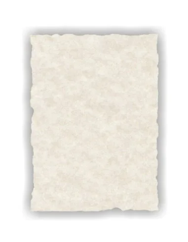 DIPLOMA PERGAMINERO HUMO 21x29,7 R.2608