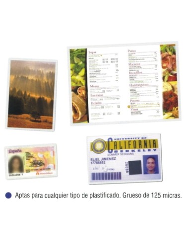 FUNDAS PLASTIF.125m.216X303 - A4 C/100