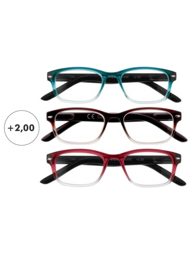 GAFAS ZIPPO LECTURA BICOLOR +2,00