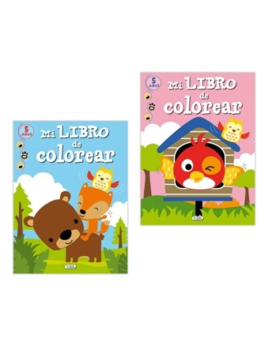 LIB.PINTAR GRAN LIBRO COLOREAR 96P.