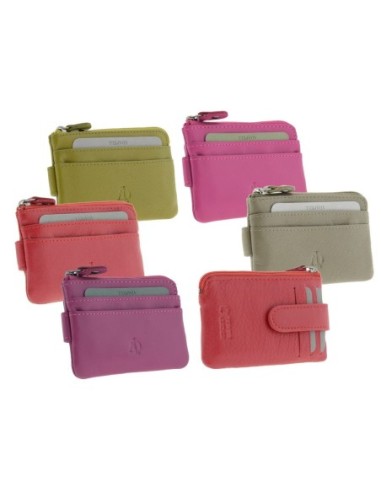 ADP-MONEDERO PORTATARJETAS COLORES 8061