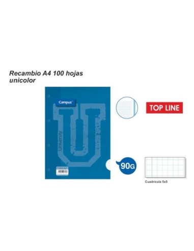 RECAMB.T.LINE A4 100H.90GR.4TL.AZUL 2298