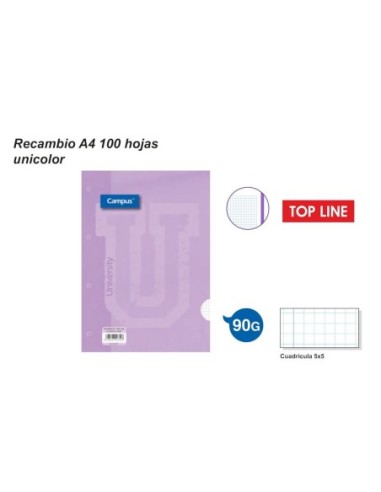 RECAMB.T.LINE A4 100H.90GR.4TL.LILA 2296