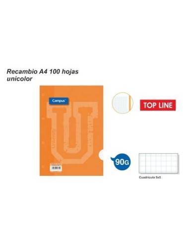 RECAMB.T.LINE A4 100H.90GR.4TL.NRJA.2294