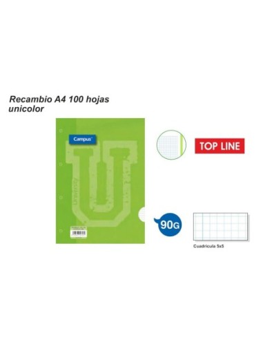 RECAMB.T.LINE A4 100H.90GR.4TL.VRDE.2295