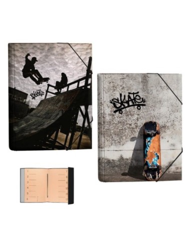 SF.SKATE-CARPETA CLASIFICADORA 18103240