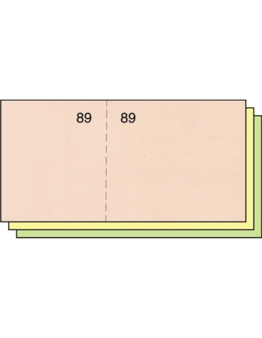 TALONARIO CAJA 5X10 T-29