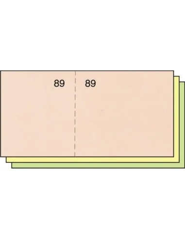 TALONARIO CAJA 5X10 T-29