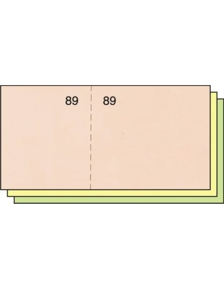 TALONARIO CAJA 5X10 T-29